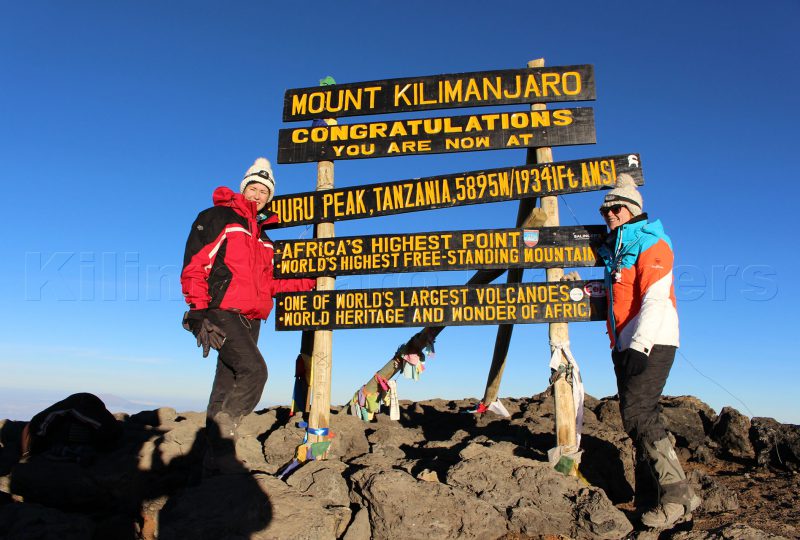 spider tours kilimanjaro