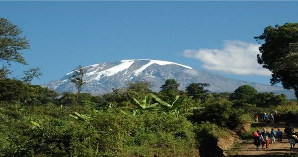 kilimanjaro-in-marangu