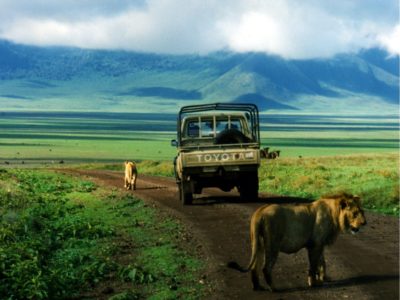 ngorongoro-safari